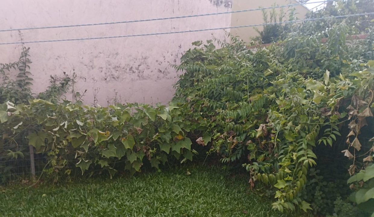 WhatsApp Image 2025-08-20 at 09.59.11 - Copia - Copia