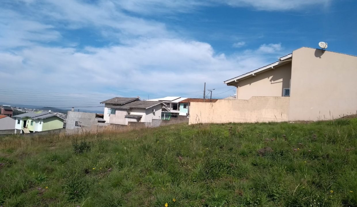 WhatsApp Image 2025-08-20 at 10.36.51 (1)