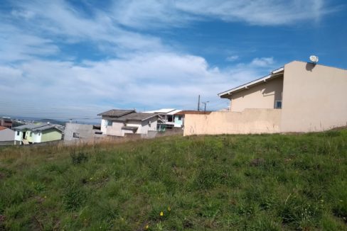 WhatsApp Image 2025-08-20 at 10.36.51 (1)